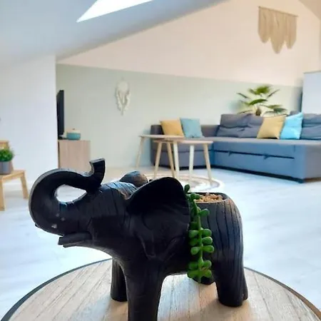 Appartement Du Chateau Lunéville Buitenkant foto