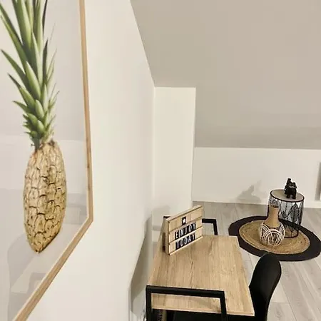 Appartement Du Chateau Lunéville Buitenkant foto